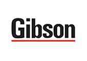 partner01  Home gibson 1